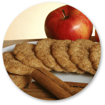 Nutrico Diet Keksi sa jabukom i cimetom 5 komada