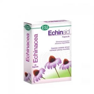 Echinaid, 30 kapsula